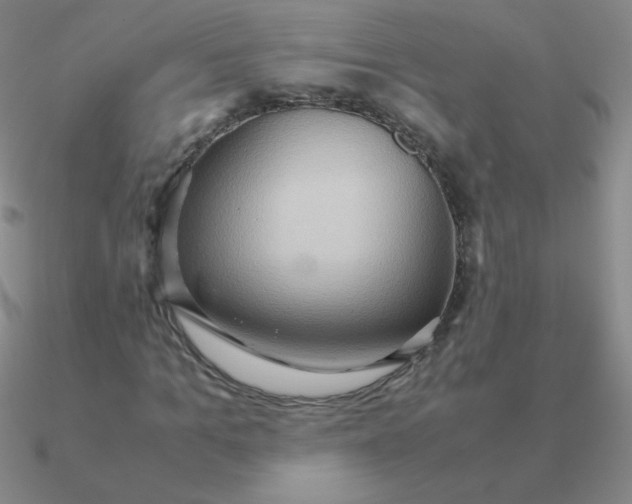 X0000090620965200708071221