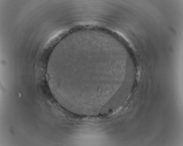 X0000090620967200708071221