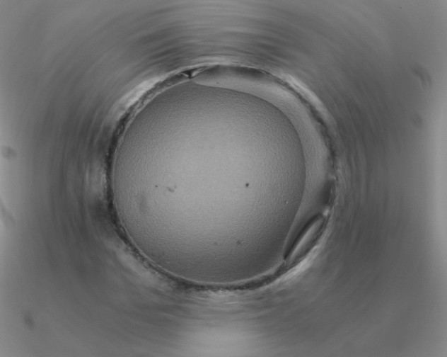 X0000090620969200708071221