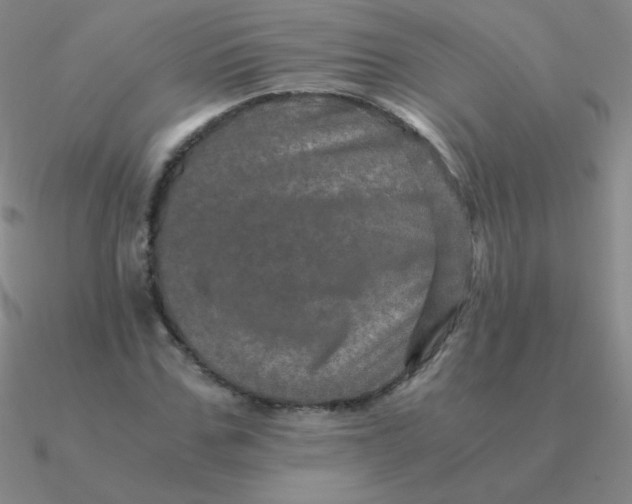 X0000090620971200708071221