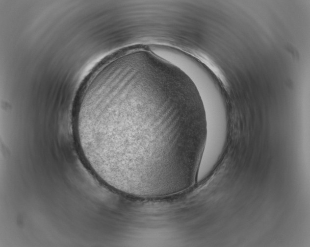 X0000090620972200708071221