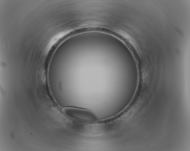 X0000090620973200708071221