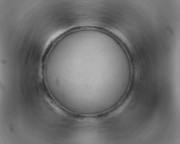 X0000090620974200708071221