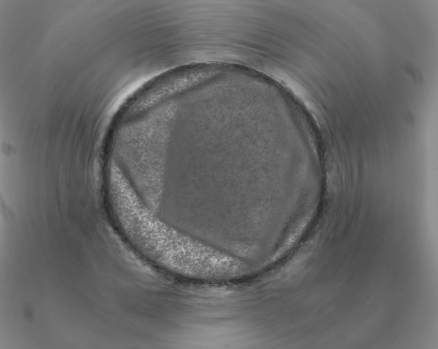 X0000090620975200708071221