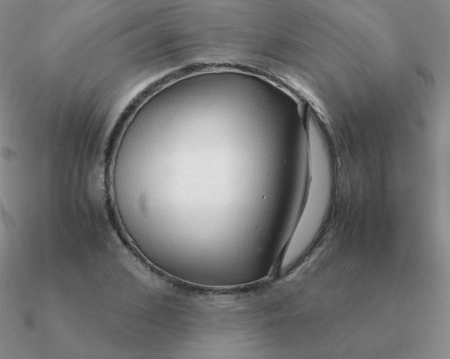 X0000090620976200708071221