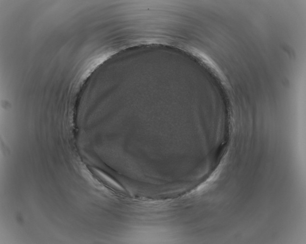 X0000090620977200708071221