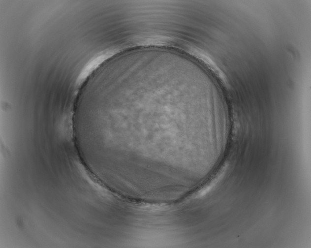 X0000090620978200708071221