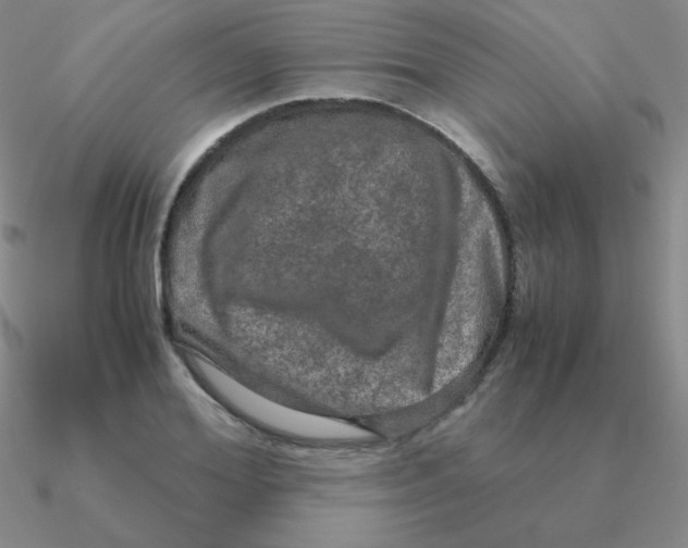 X0000090620980200708071221