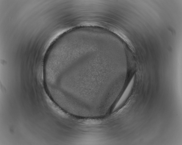 X0000090620984200708071221