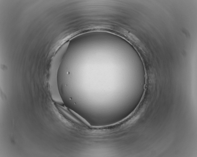 X0000090620985200708071221