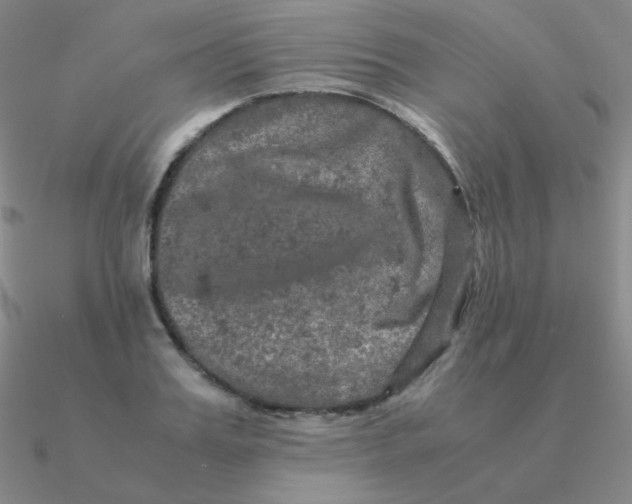 X0000090620987200708071221