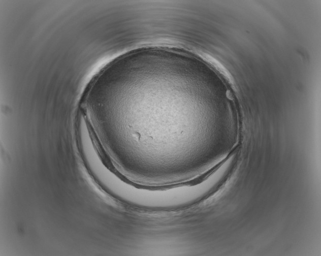 X0000090620989200708071221