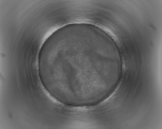 X0000090620990200708071221