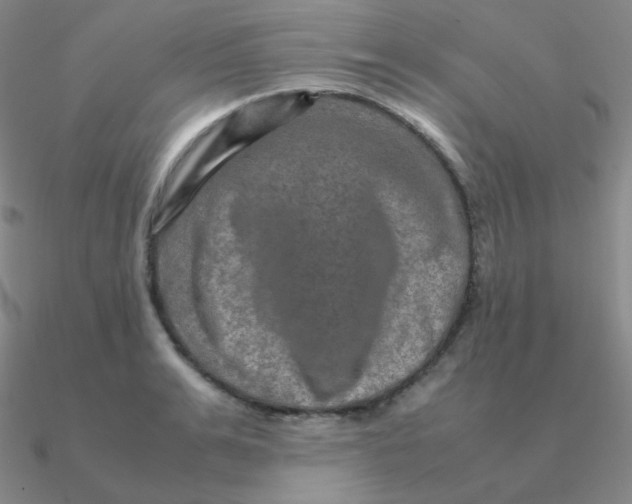 X0000090620991200708071221