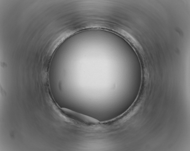 X0000090620993200708071221