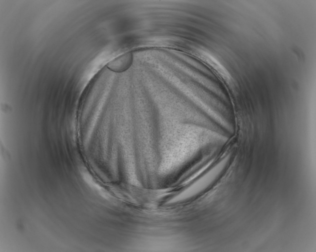 X0000090620994200708071221