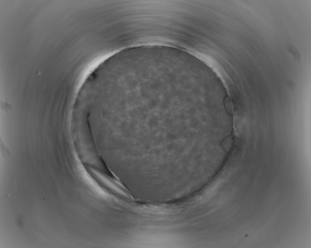 X0000090620995200708071221