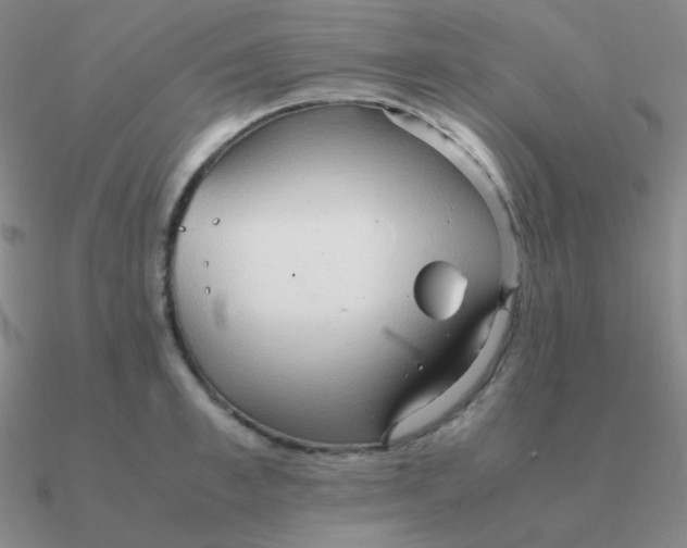 X0000090620997200708071221