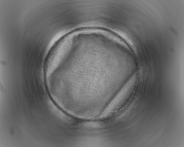 X0000090620998200708071221