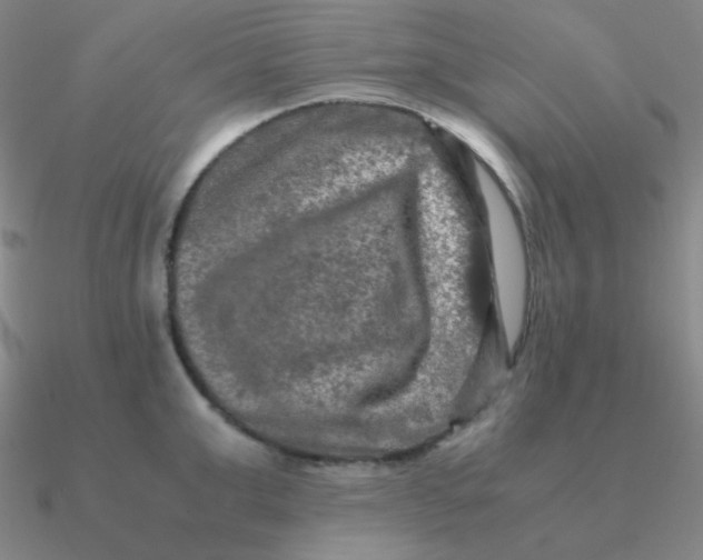 X0000090620999200708071221