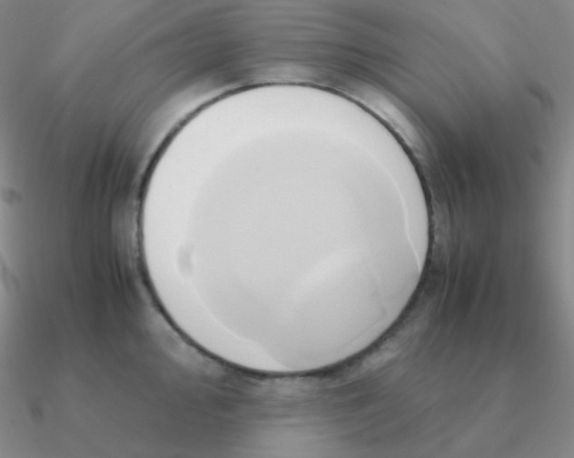 X0000090621000200708071221