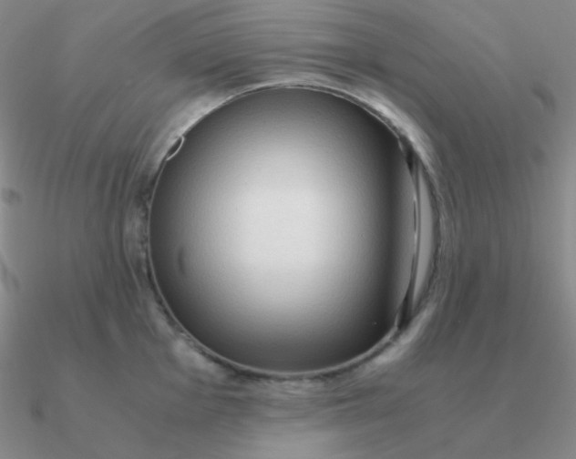 X0000090621001200708071221