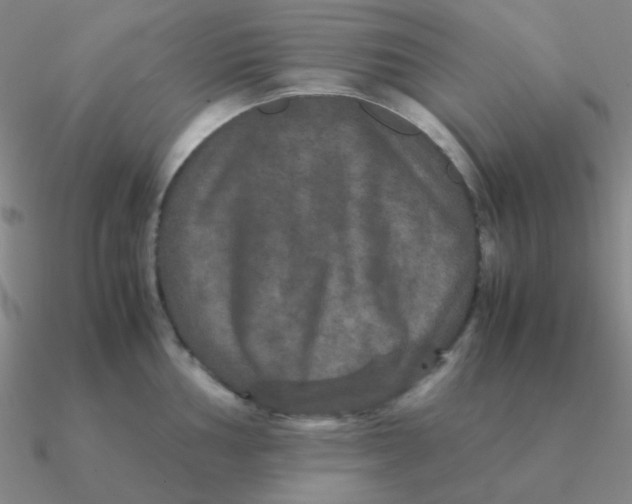 X0000090621002200708071221