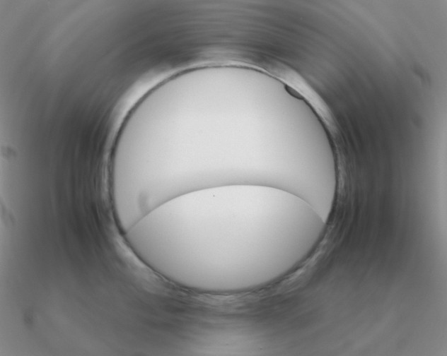 X0000090621004200708071221