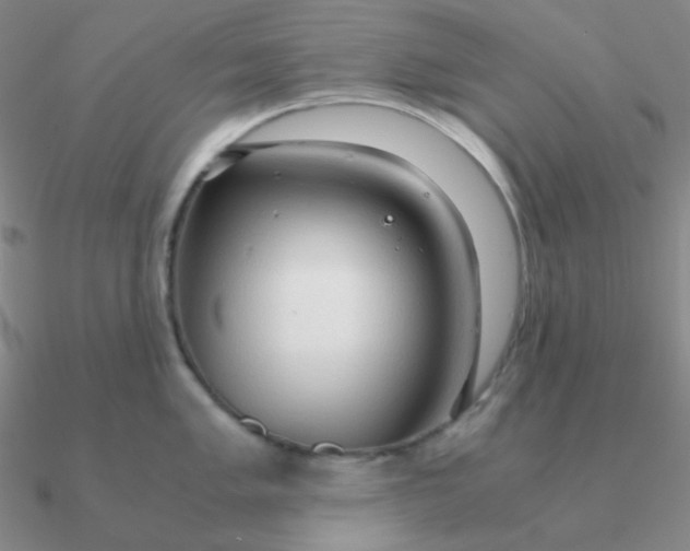 X0000090621005200708071221