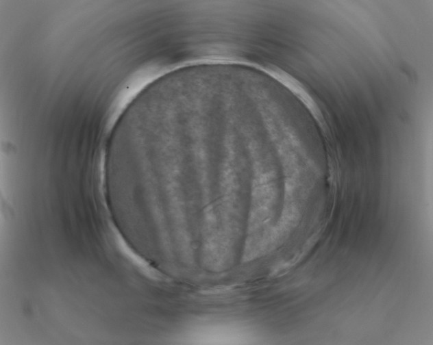 X0000090621006200708071221