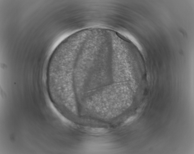 X0000090621007200708071221