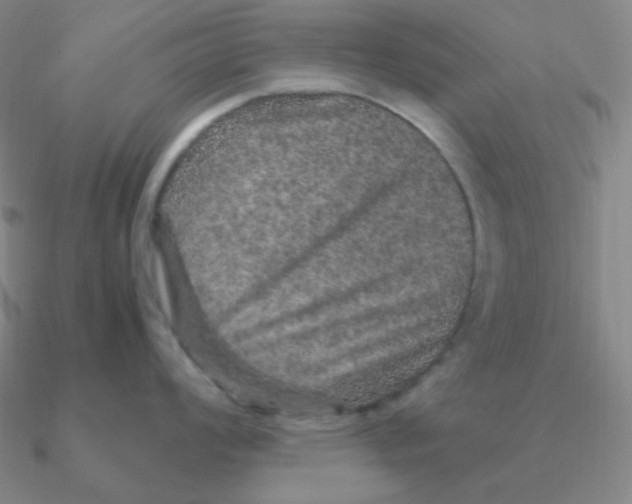 X0000090621008200708071221