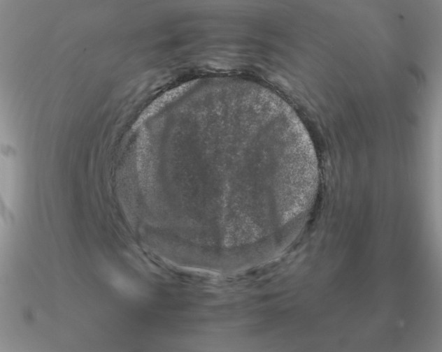 X0000090621009200708071220