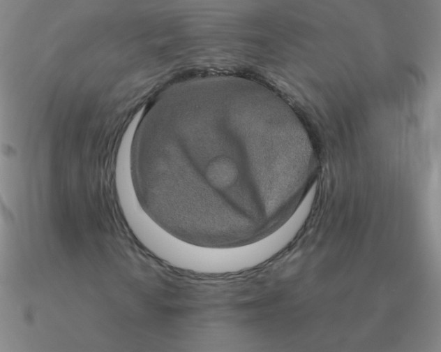 X0000090621010200708071220