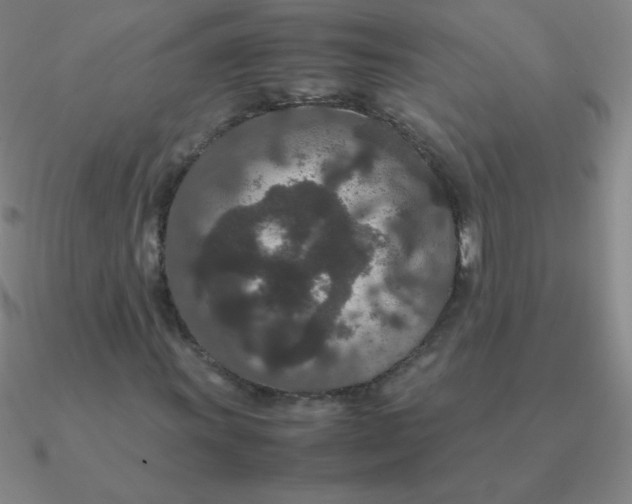 X0000090621011200708071220