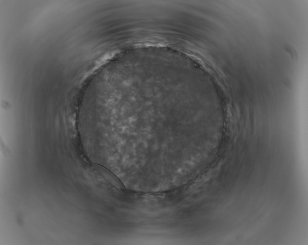 X0000090621013200708071220