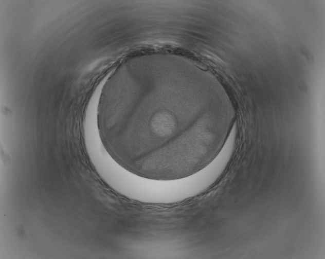 X0000090621014200708071220