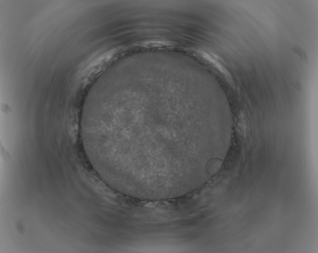 X0000090621015200708071220