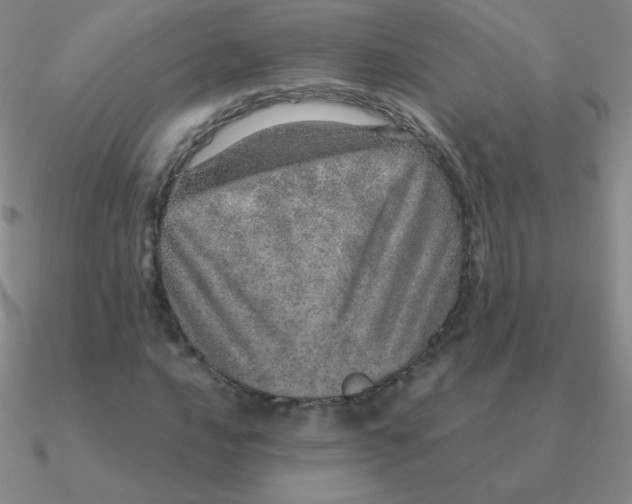 X0000090621016200708071220