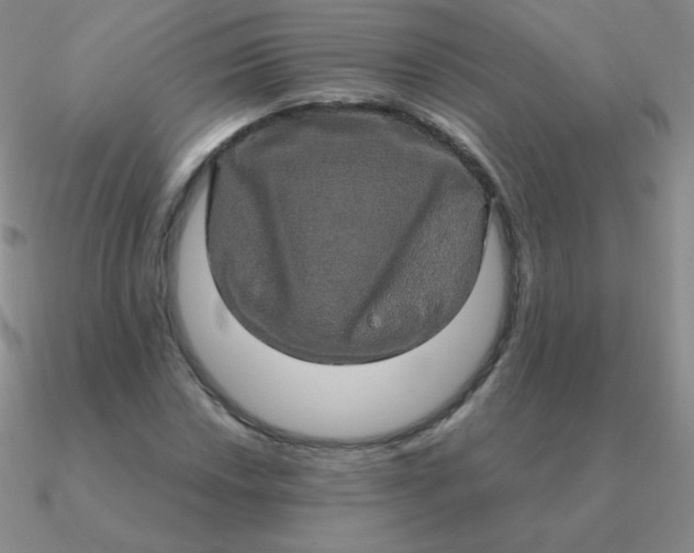 X0000090621018200708071220