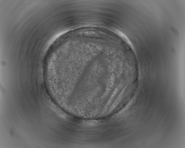 X0000090621019200708071220