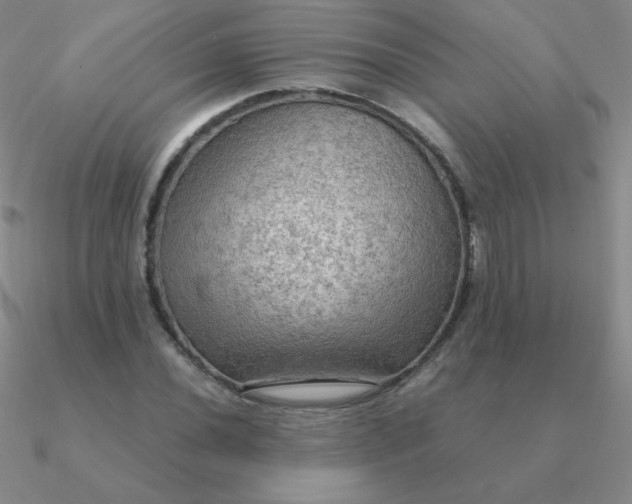 X0000090621020200708071220