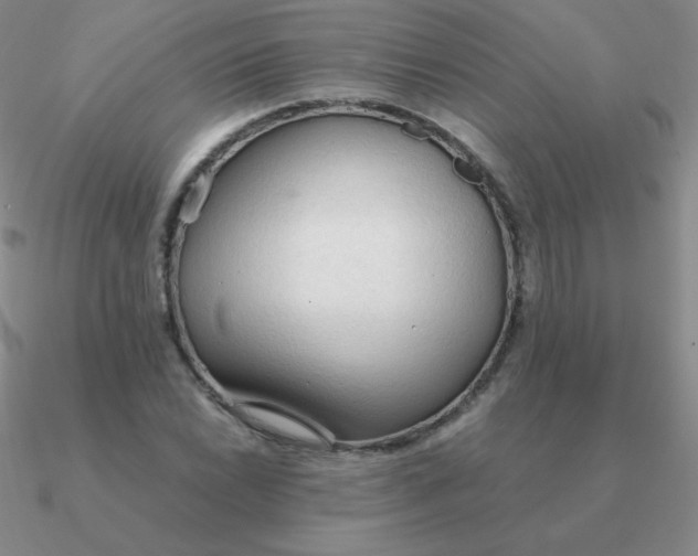 X0000090621022200708071220