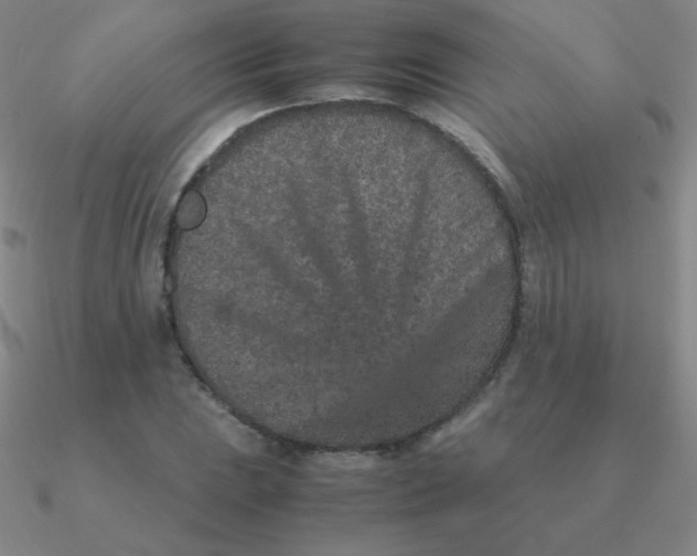 X0000090621023200708071220