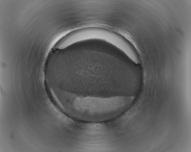 X0000090621024200708071220