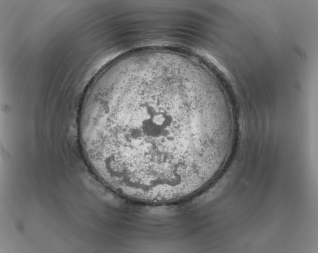 X0000090621025200708071220