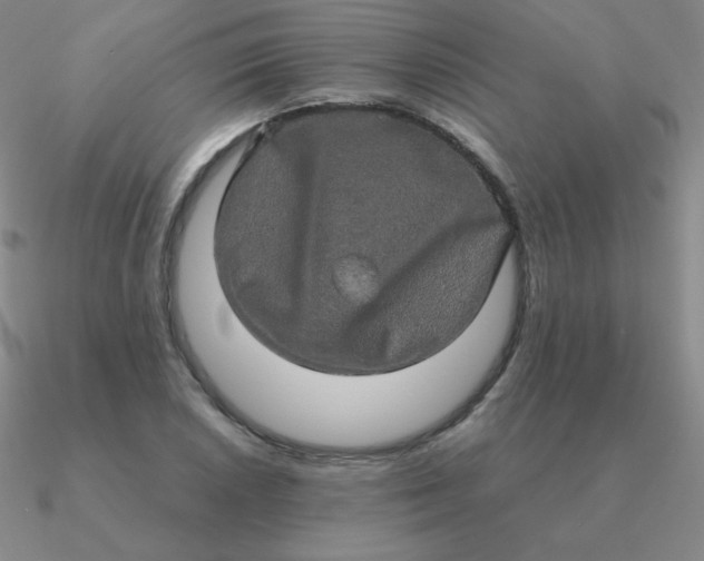 X0000090621026200708071220