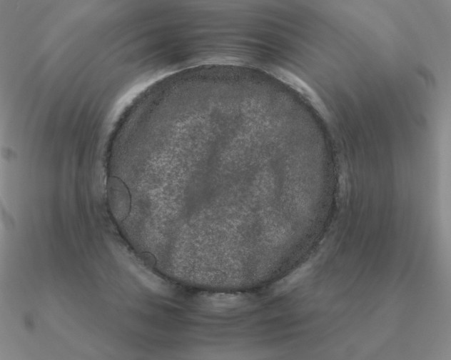 X0000090621027200708071220