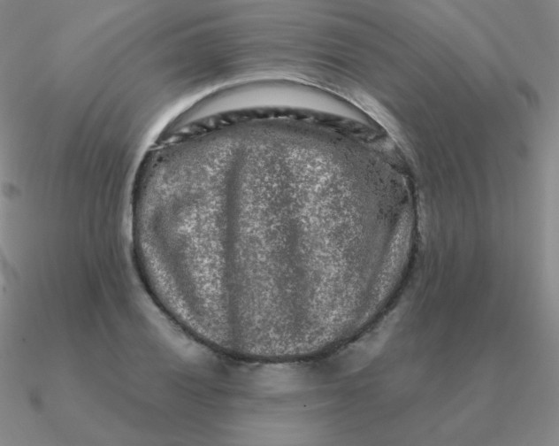 X0000090621028200708071220