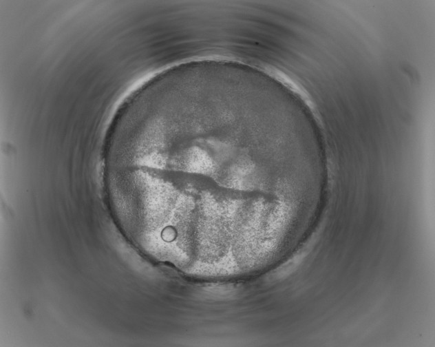 X0000090621029200708071220